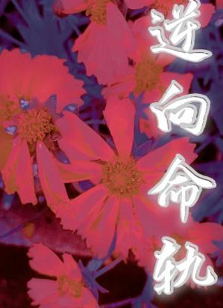 逆向命轨小说