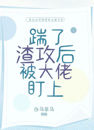 踹了渣攻后被大佬盯上小说