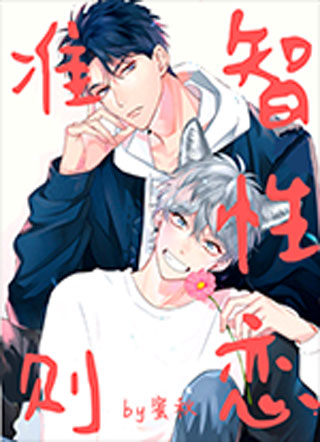 智性恋准则小说