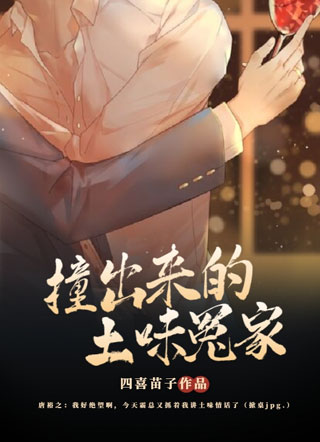 撞出来的土味冤家在线阅读