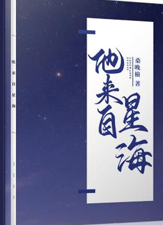 他来自星海小说