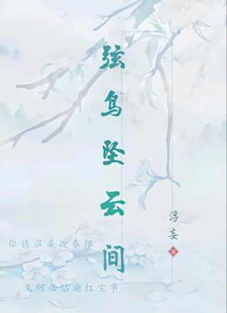 弦鸟坠云间