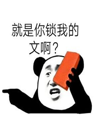 就是你锁我的文啊?小说