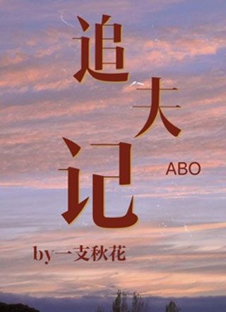 追夫记ABO小说