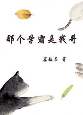 那个学霸是我哥