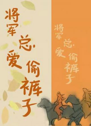 将军总爱偷裤子