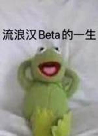 流浪汉Beta的一生