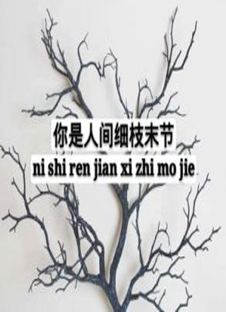 你是人间细枝末节小说