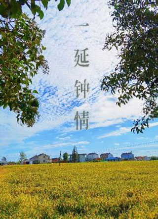 一延钟情小说