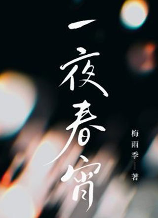 一夜春宵小说