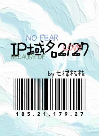 IP域名2127小说