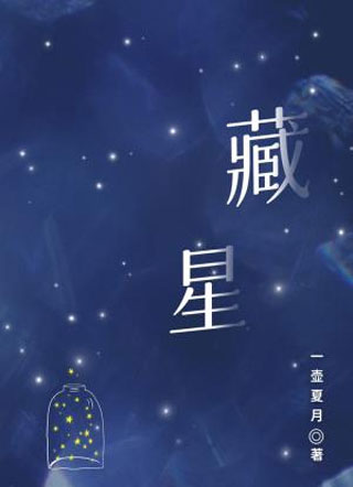 藏星小说