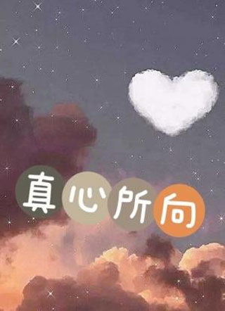 真心所向小说