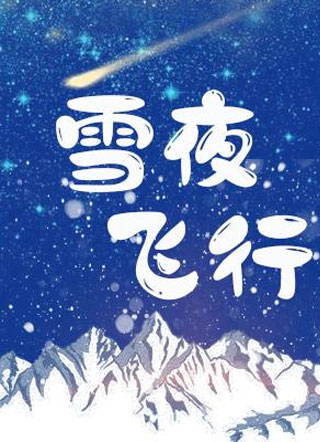 雪夜飞行