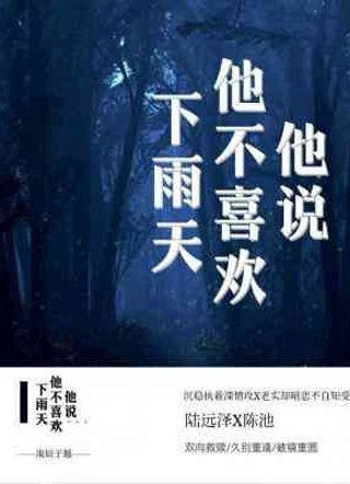 他说他不喜欢下雨天小说