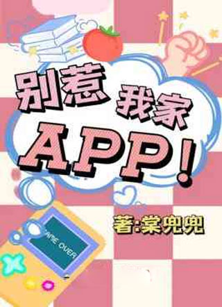 别惹我家APP！小说