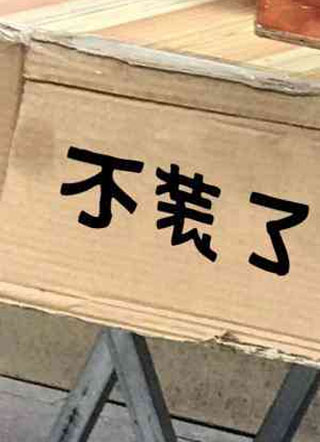 不装了隰植