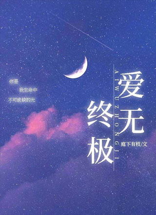 爱无终极小说