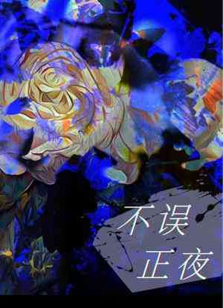 不误正夜