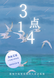 3点14小说