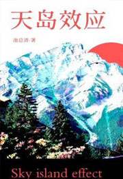 天岛效应小说