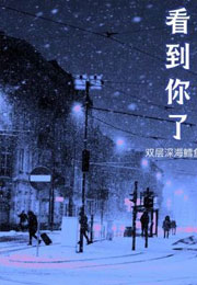 看到你了小说