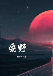 爱野小说