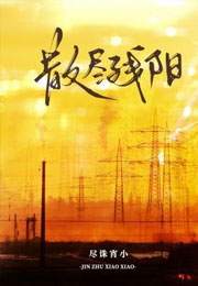 散尽残阳小说