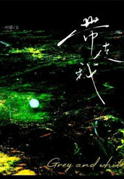 带走我小说