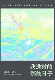 我进村的那些日子小说