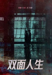 双面人生小说