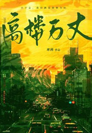 高楼万丈小说