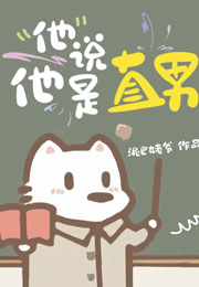 他说他是直男小说