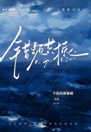 错频共振小说