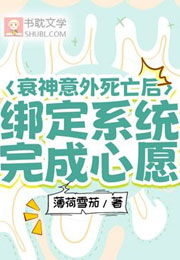 衰神意外死亡后绑定系统完成心愿小说