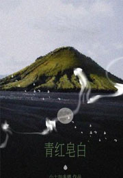 青红皂白小说