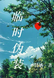 临时伪装小说