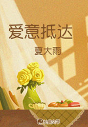 爱意抵达小说