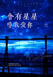 会有星星替我爱你小说