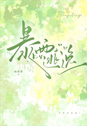 暴雨逃逸小说