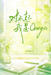 对不起，我是Omega小说