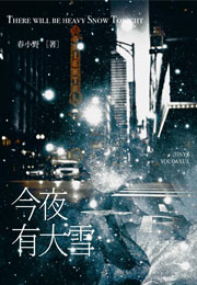 今夜有大雪小说