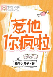 惹他，你疯啦小说