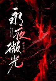 永夜微光小说
