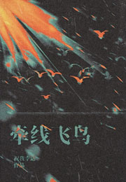 牵线飞鸟小说