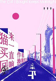 猫买回来一直响小说