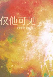 仅他可见小说