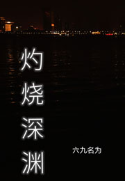 灼烧深渊小说