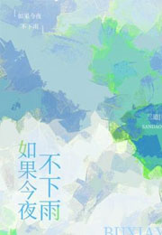 如果今夜不下雨小说