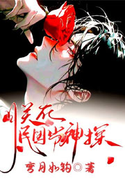 朕在民国当神探小说